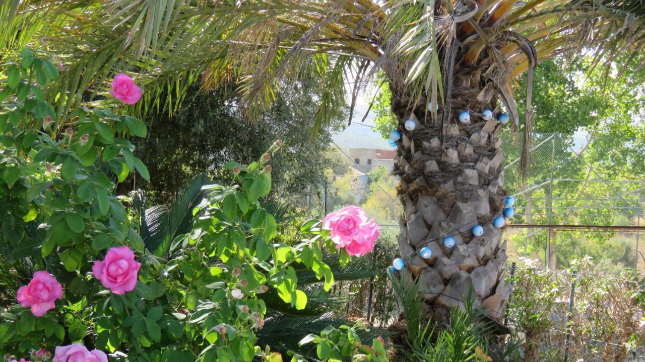 Monte Madalena Villa Adega Exterior photo
